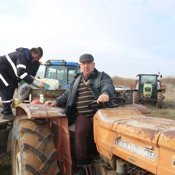 Buday Trlerinin Atas Olarak Bilinen Siyez Budaynn Ekimi Yapld.