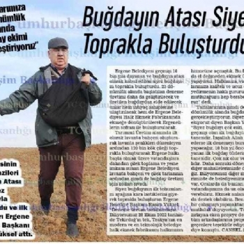 Buday Trlerinin Atas Olarak Bilinen Siyez Budaynn Ekimi Yapld.